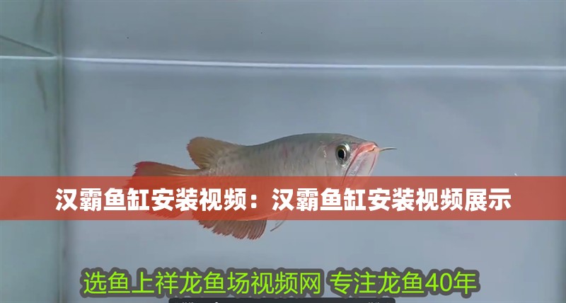 漢霸魚缸安裝視頻：漢霸魚缸安裝視頻展示