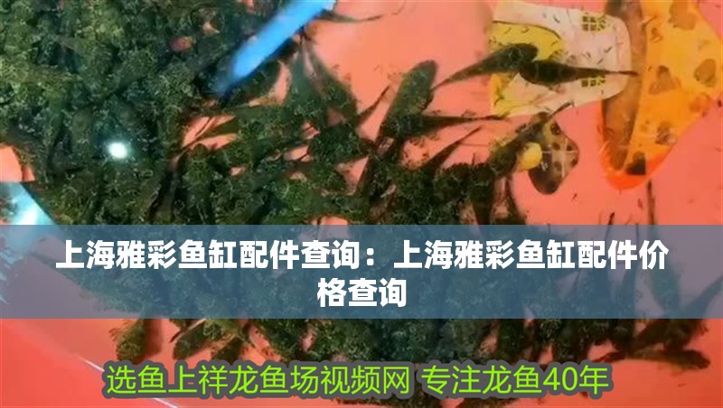 上海雅彩魚缸配件查詢：上海雅彩魚缸配件價格查詢 上海雅彩魚缸配件查詢：上海雅彩魚缸配件價格查詢 魚缸百科