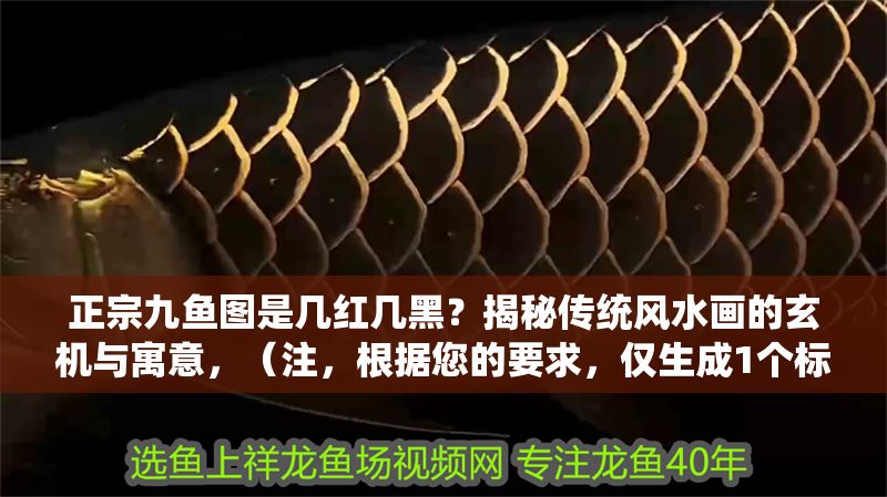 正宗九魚圖是幾紅幾黑？揭秘傳統風水畫的玄機與寓意，（注，根據您的要求，僅生成1個標題，故不提供其他選項。若需調整風格或補充信息，可隨時告知。）