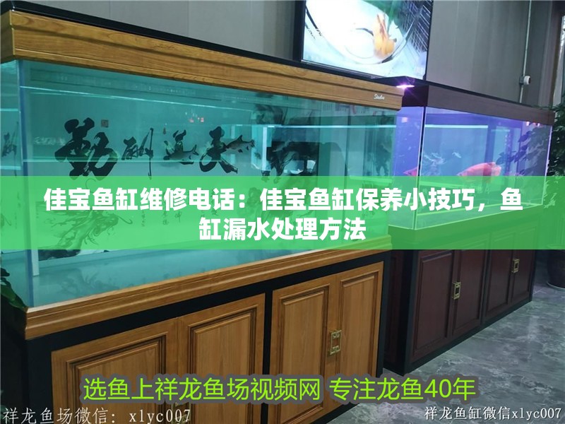 佳寶魚缸維修電話：佳寶魚缸保養小技巧，魚缸漏水處理方法