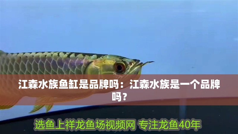 江森水族魚缸是品牌嗎：江森水族是一個品牌嗎？