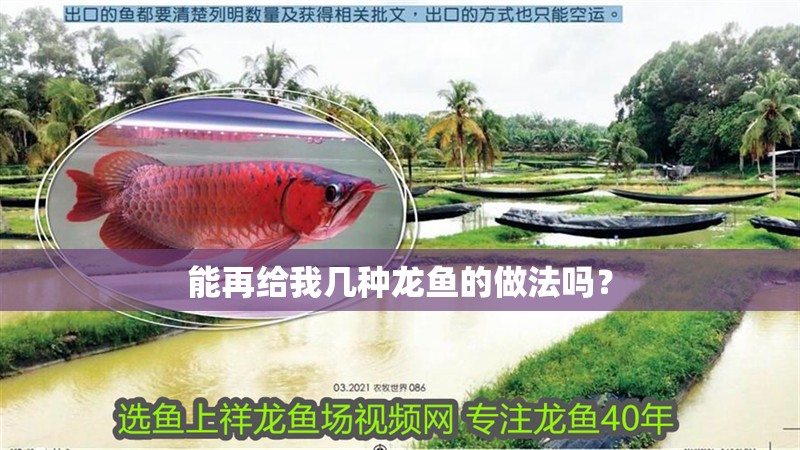 能再給我幾種龍魚的做法嗎？