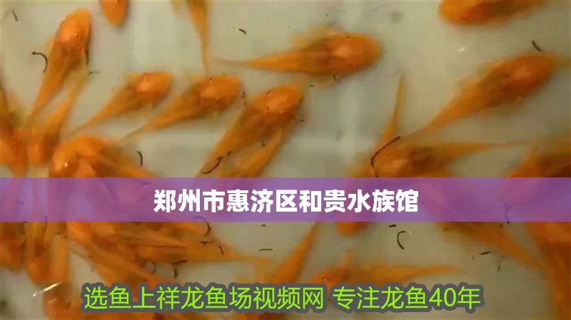 鄭州市惠濟區和貴水族館