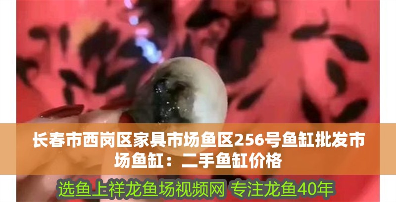長春市西崗區家具市場魚區256號魚缸批發市場魚缸：二手魚缸價格