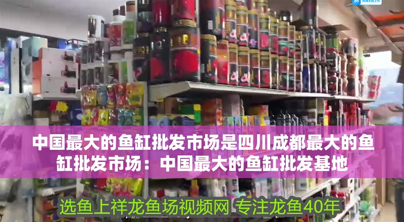 中國(guó)最大的魚(yú)缸批發(fā)市場(chǎng)是四川成都最大的魚(yú)缸批發(fā)市場(chǎng)：中國(guó)最大的魚(yú)缸批發(fā)基地