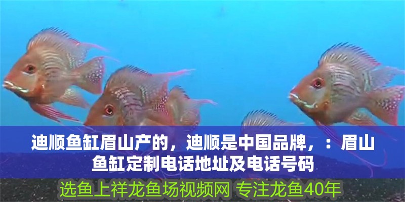 迪順魚缸眉山產的，迪順是中國品牌，：眉山魚缸定制電話地址及電話號碼 迪順魚缸眉山產的，迪順是中國品牌，：眉山魚缸定制電話地址及電話號碼 魚缸百科