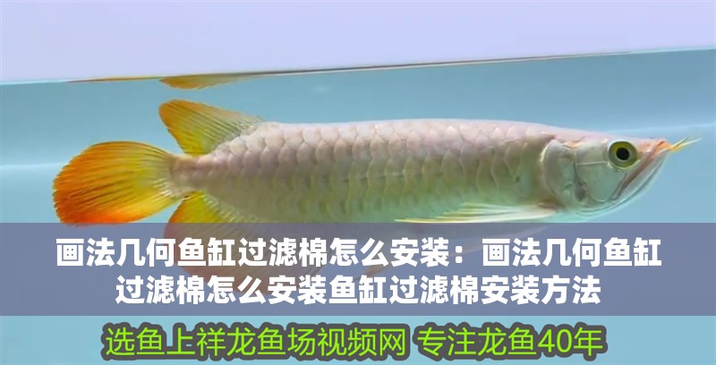 畫法幾何魚缸過濾棉怎么安裝：畫法幾何魚缸過濾棉怎么安裝魚缸過濾棉安裝方法