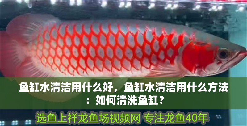 魚(yú)缸水清潔用什么好，魚(yú)缸水清潔用什么方法：如何清洗魚(yú)缸？