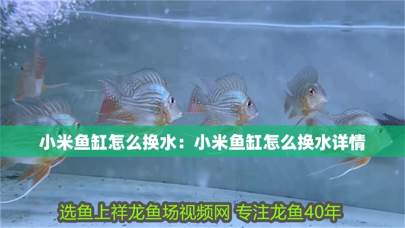 小米魚缸怎么換水：小米魚缸怎么換水詳情
