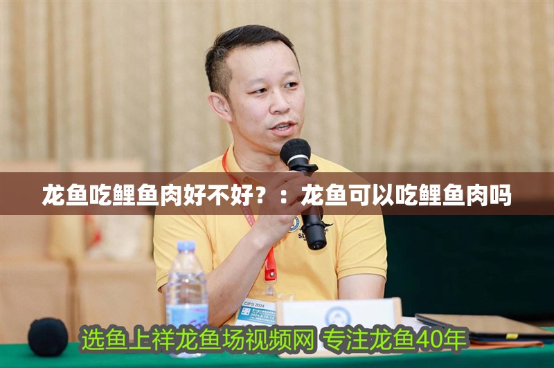 龍魚吃鯉魚肉好不好？：龍魚可以吃鯉魚肉嗎