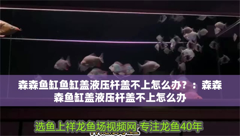 森森魚缸魚缸蓋液壓桿蓋不上怎么辦？：森森森魚缸蓋液壓桿蓋不上怎么辦