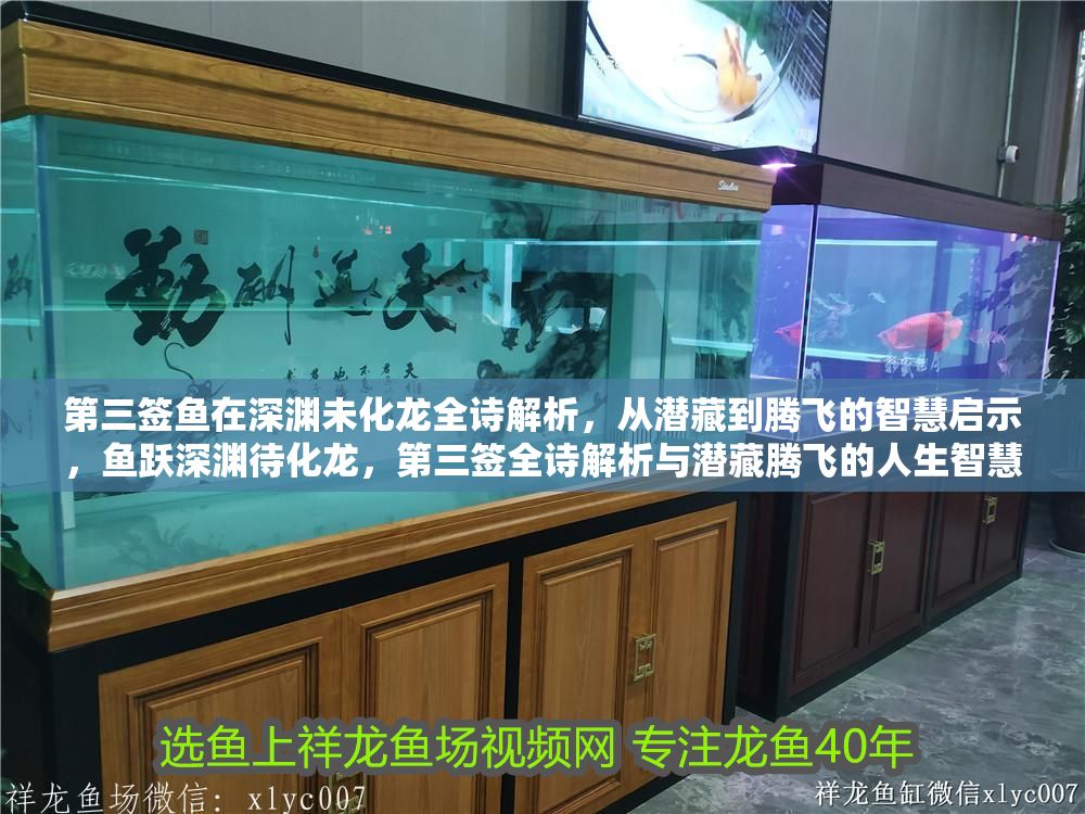 第三簽魚在深淵未化龍全詩解析，從潛藏到騰飛的智慧啟示，魚躍深淵待化龍，第三簽全詩解析與潛藏騰飛的人生智慧