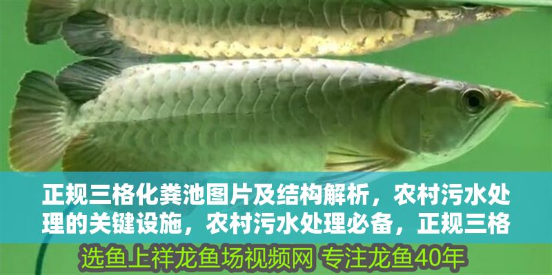 正規(guī)三格化糞池圖片及結(jié)構(gòu)解析，農(nóng)村污水處理的關(guān)鍵設(shè)施，農(nóng)村污水處理必備，正規(guī)三格化糞池結(jié)構(gòu)圖解與功能解析