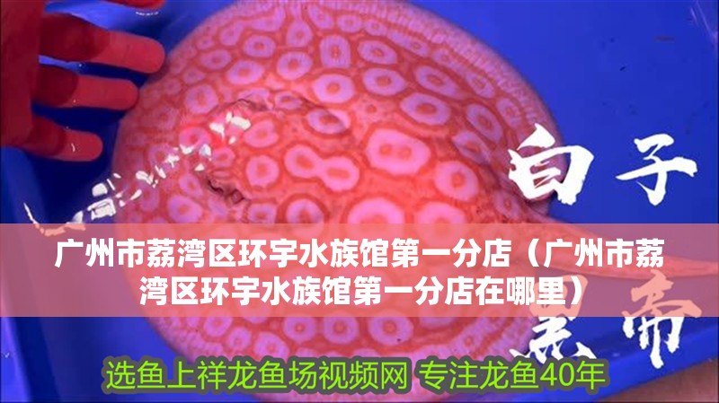 廣州市荔灣區環宇水族館第一分店（廣州市荔灣區環宇水族館第一分店在哪里）