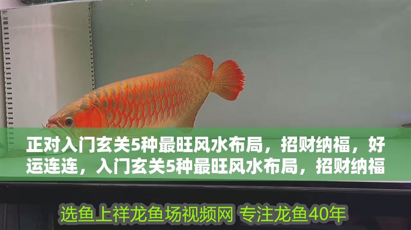 正對入門玄關5種最旺風水布局，招財納福，好運連連，入門玄關5種最旺風水布局，招財納福好運連連