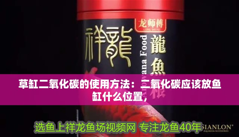草缸二氧化碳的使用方法：二氧化碳應(yīng)該放魚缸什么位置，