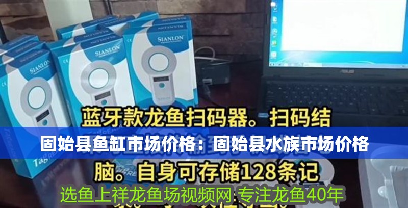 固始縣魚缸市場價格：固始縣水族市場價格