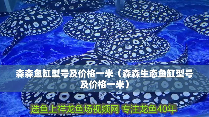 森森魚缸型號及價格一米（森森生態(tài)魚缸型號及價格一米）