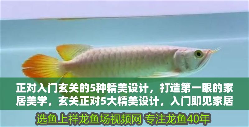 正對入門玄關的5種精美設計，打造第一眼的家居美學，玄關正對5大精美設計，入門即見家居美學 正對入門玄關的5種精美設計，打造第一眼的家居美學，玄關正對5大精美設計，入門即見家居美學 龍魚百科 第1張