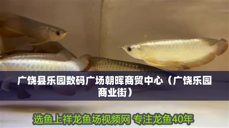 廣饒縣樂園數碼廣場朝暉商貿中心（廣饒樂園商業街）
