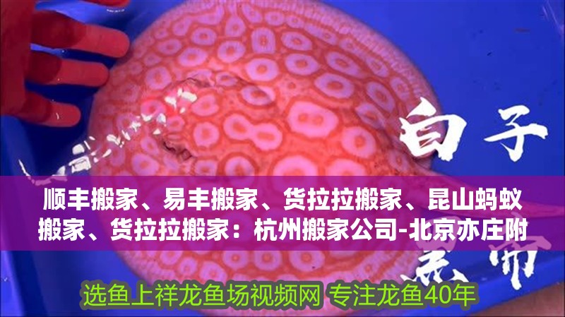 順豐搬家、易豐搬家、貨拉拉搬家、昆山螞蟻搬家、貨拉拉搬家：杭州搬家公司-北京亦莊附近搬家公司-北京兄弟緣搬家公司