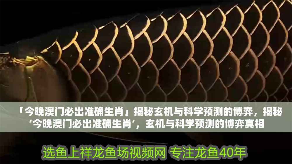 「今晚澳門必出準(zhǔn)確生肖」揭秘玄機(jī)與科學(xué)預(yù)測的博弈，揭秘‘今晚澳門必出準(zhǔn)確生肖’，玄機(jī)與科學(xué)預(yù)測的博弈真相