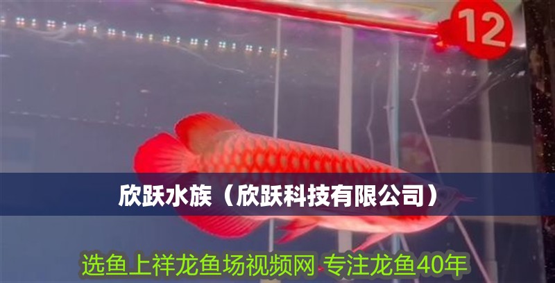 欣躍水族（欣躍科技有限公司）