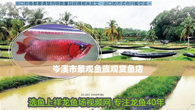 岑溪市景觀魚族觀賞魚店