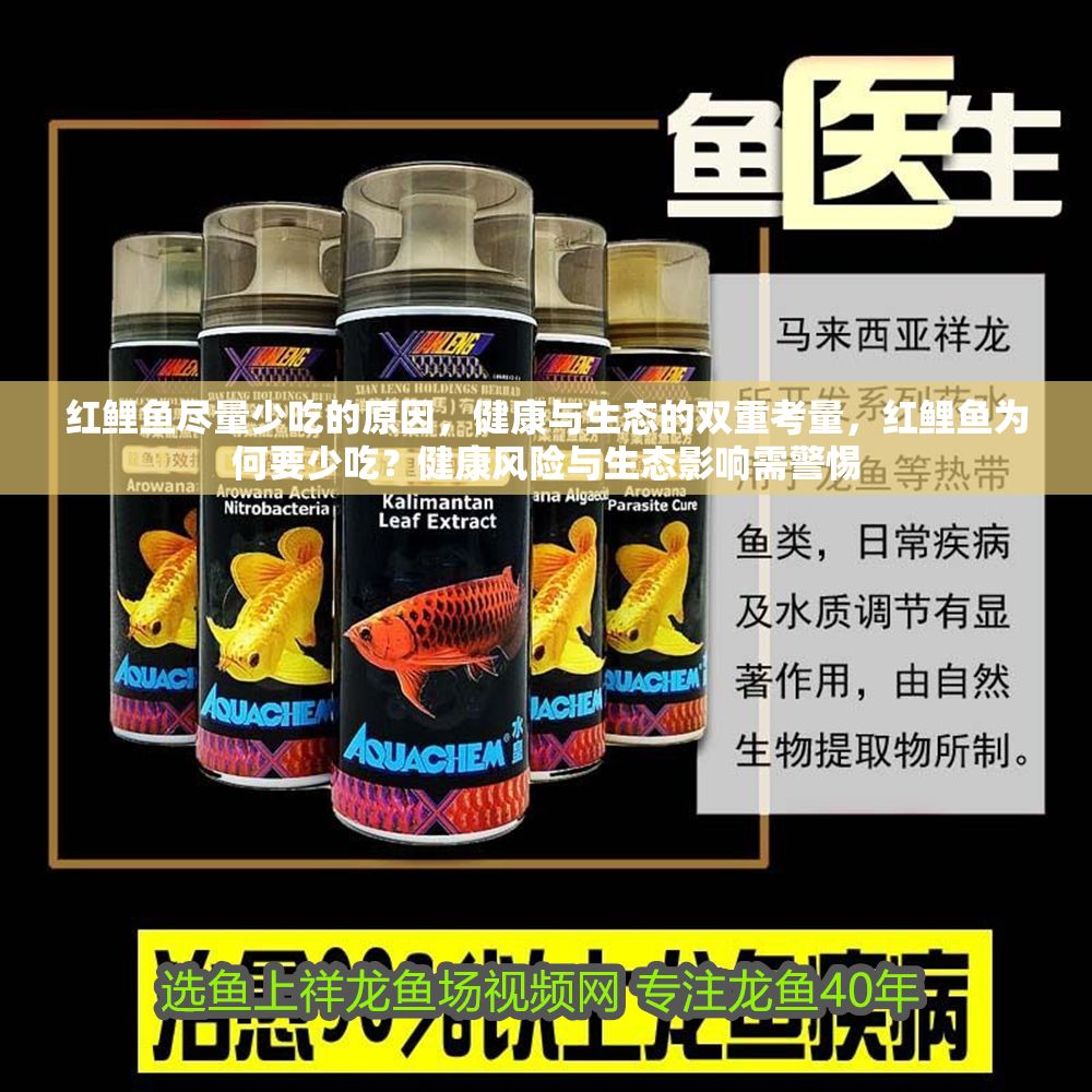 紅鯉魚盡量少吃的原因，健康與生態(tài)的雙重考量，紅鯉魚為何要少吃？健康風(fēng)險與生態(tài)影響需警惕