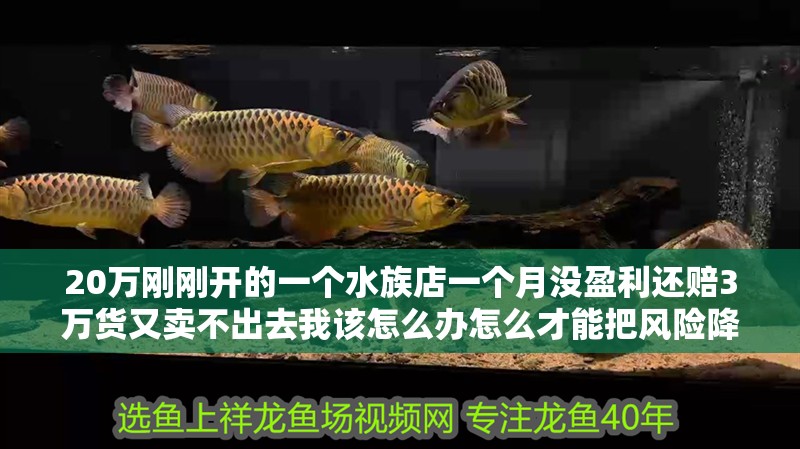 20萬剛剛開的一個水族店一個月沒盈利還賠3萬貨又賣不出去我該怎么辦怎么才能把風(fēng)險降低