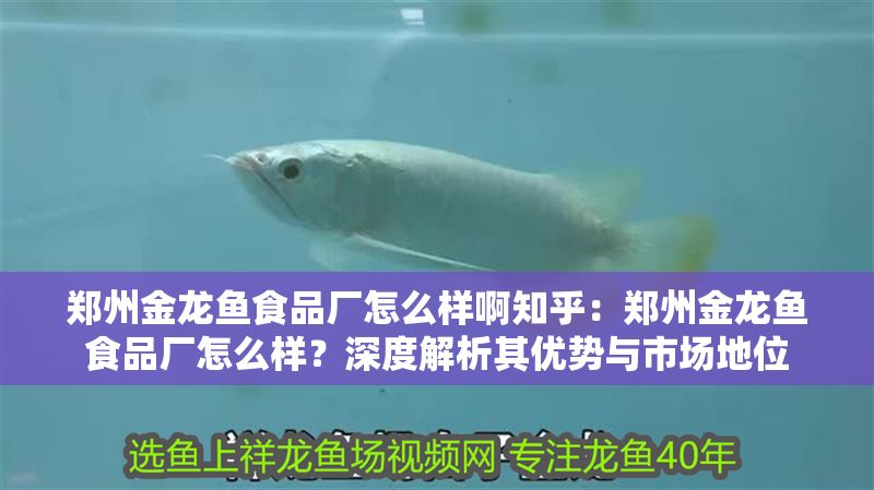 鄭州金龍魚食品廠怎么樣啊知乎：鄭州金龍魚食品廠怎么樣？深度解析其優(yōu)勢與市場地位