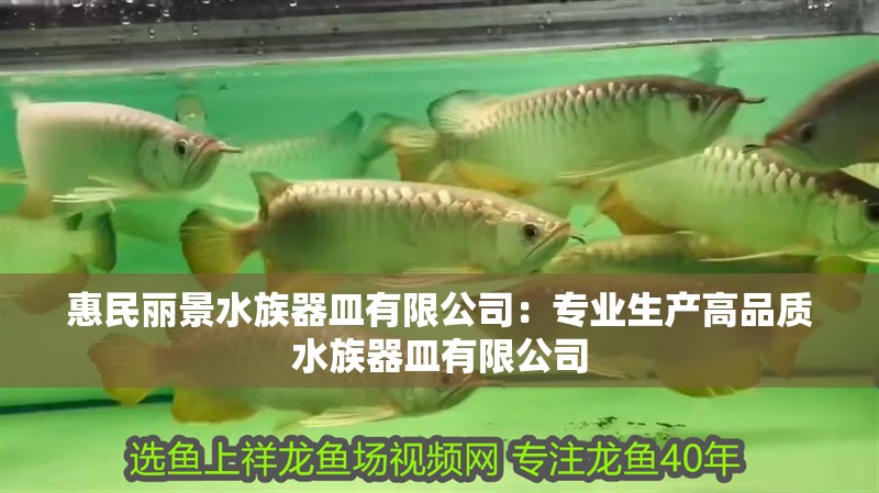 惠民麗景水族器皿有限公司：專業生產高品質水族器皿有限公司
