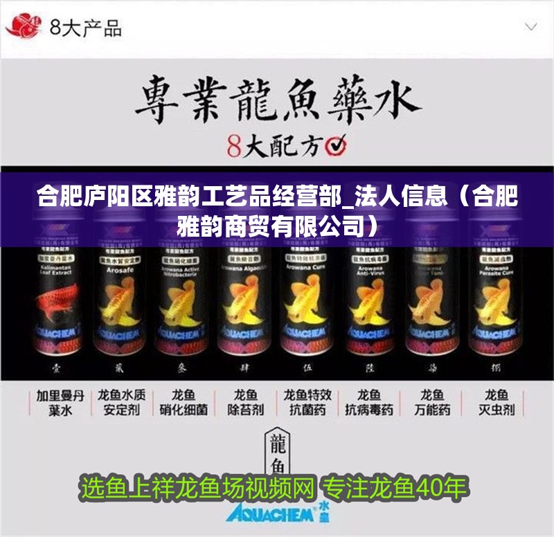 合肥廬陽區雅韻工藝品經營部_法人信息（合肥雅韻商貿有限公司）