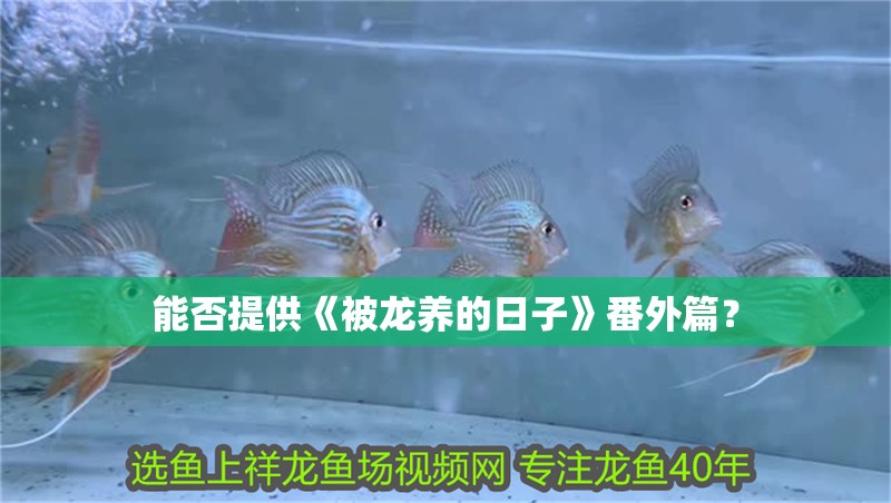 能否提供《被龍養的日子》番外篇？