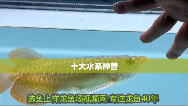 十大水系神獸