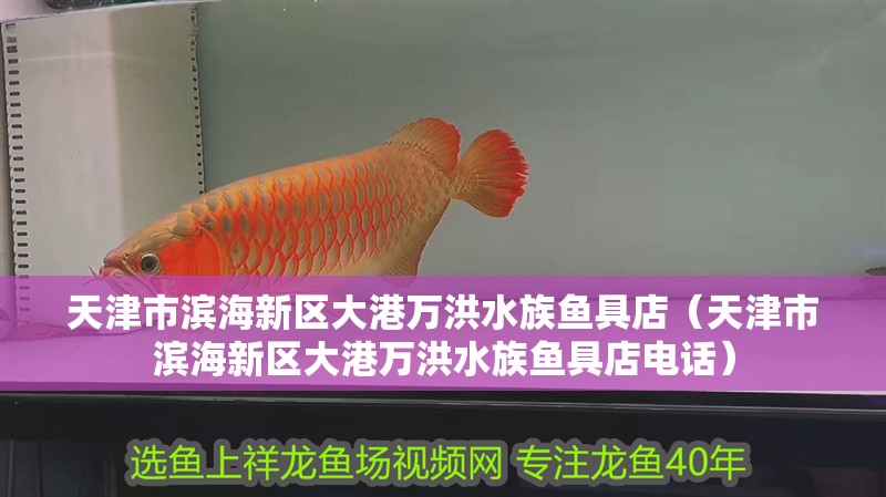 天津市濱海新區大港萬洪水族魚具店（天津市濱海新區大港萬洪水族魚具店電話）