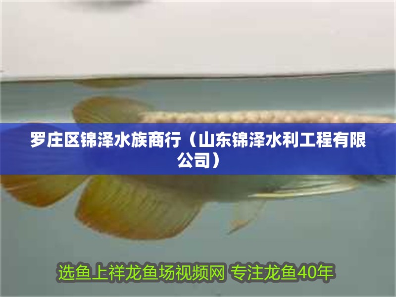 羅莊區(qū)錦澤水族商行（山東錦澤水利工程有限公司）