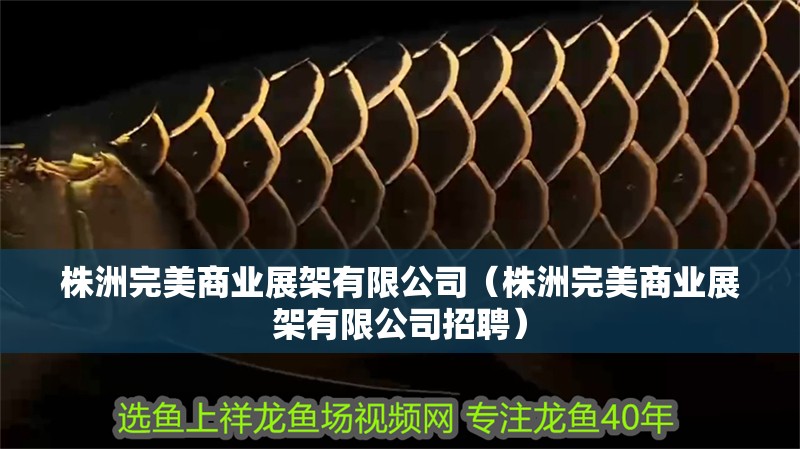 株洲完美商業展架有限公司（株洲完美商業展架有限公司招聘）