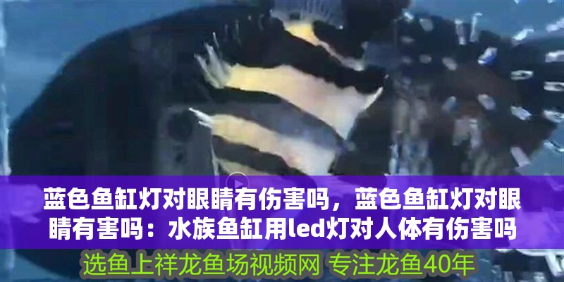 藍色魚缸燈對眼睛有傷害嗎，藍色魚缸燈對眼睛有害嗎：水族魚缸用led燈對人體有傷害嗎