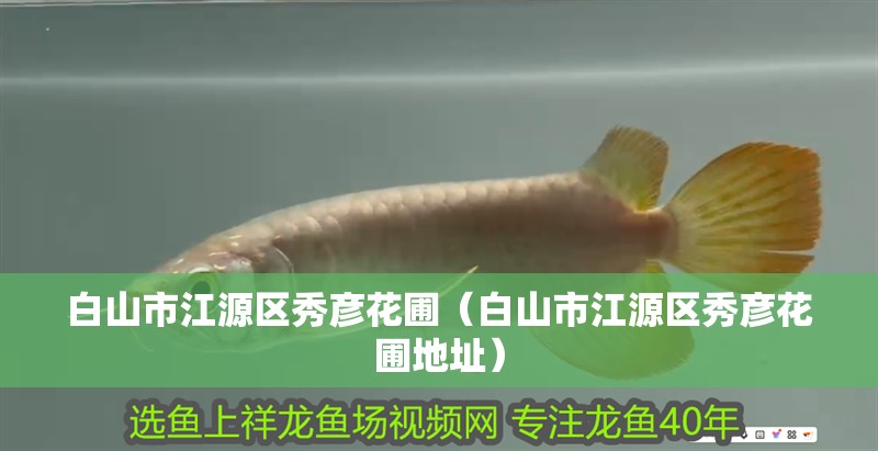 白山市江源區秀彥花圃（白山市江源區秀彥花圃地址）