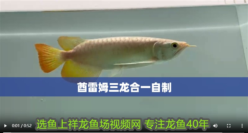 酋雷姆三龍合一自制