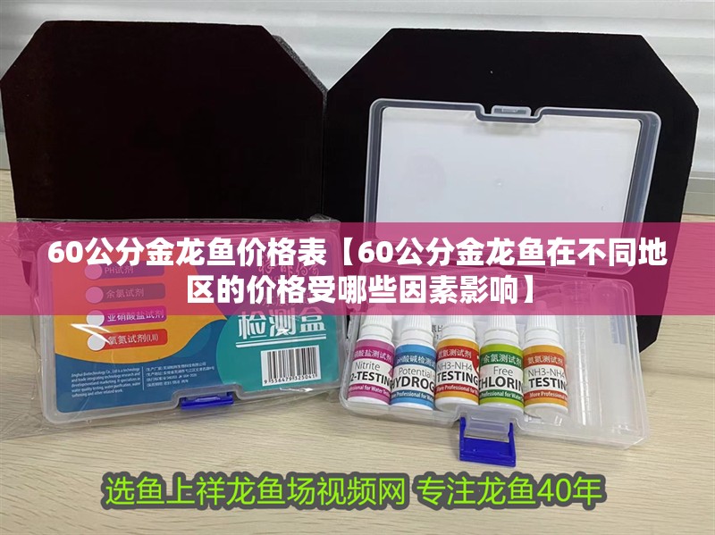 60公分金龍魚價格表【60公分金龍魚在不同地區(qū)的價格受哪些因素影響】