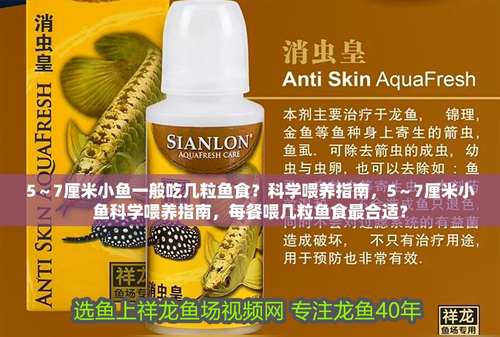 5～7厘米小魚一般吃幾粒魚食？科學(xué)喂養(yǎng)指南，5～7厘米小魚科學(xué)喂養(yǎng)指南，每餐喂幾粒魚食最合適？ 5～7厘米小魚一般吃幾粒魚食？科學(xué)喂養(yǎng)指南，5～7厘米小魚科學(xué)喂養(yǎng)指南，每餐喂幾粒魚食最合適？ 龍魚百科 第1張