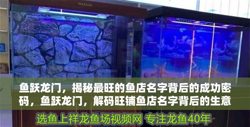 魚躍龍門，揭秘最旺的魚店名字背后的成功密碼，魚躍龍門，解碼旺鋪魚店名字背后的生意經(jīng)