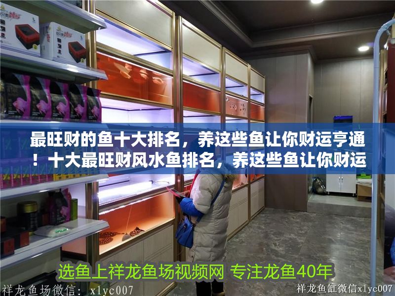 最旺財?shù)聂~十大排名，養(yǎng)這些魚讓你財運(yùn)亨通！十大最旺財風(fēng)水魚排名，養(yǎng)這些魚讓你財運(yùn)滾滾來！
