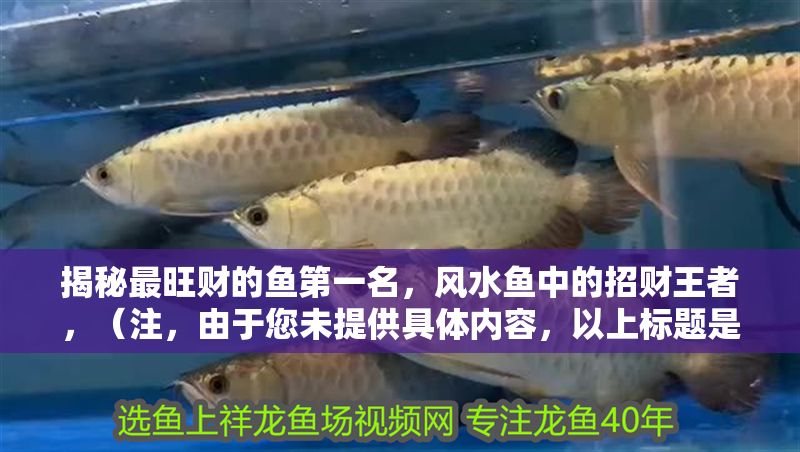 揭秘最旺財的魚第一名，風水魚中的招財王者，（注，由于您未提供具體內容，以上標題是基于常見風水魚招財主題的通用示例。若您能提供詳細內容，我將為您生成更精準匹配的標題。）