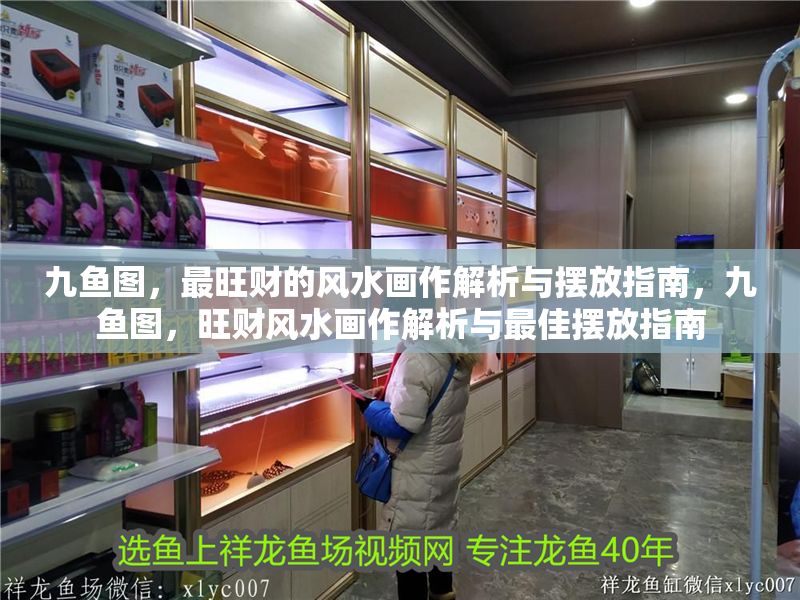 九魚圖，最旺財的風水畫作解析與擺放指南，九魚圖，旺財風水畫作解析與最佳擺放指南