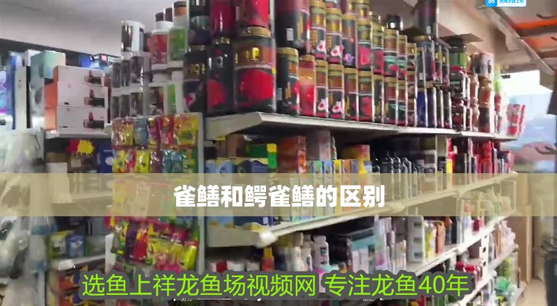 雀鱔和鱷雀鱔的區別