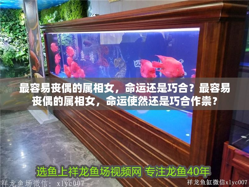 最容易喪偶的屬相女，命運還是巧合？最容易喪偶的屬相女，命運使然還是巧合作祟？