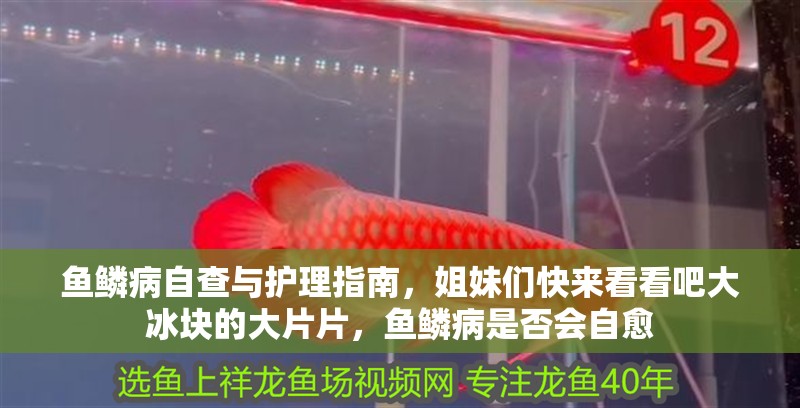 魚鱗病自查與護理指南，姐妹們快來看看吧大冰塊的大片片，魚鱗病是否會自愈